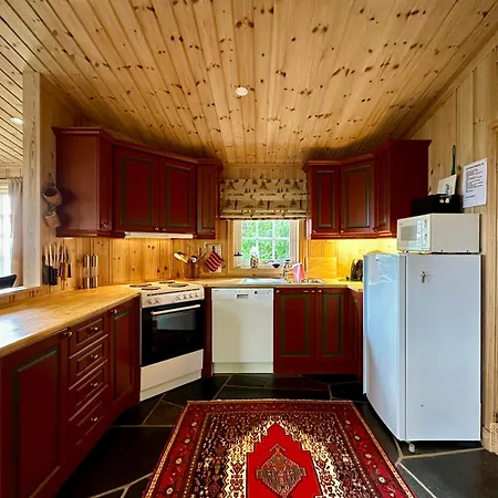 Cozy Spacious With Sauna At Natrudstilen * Sjusjøen