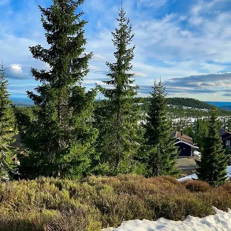 Σπίτι διακοπών Cozy Spacious With Sauna At Natrudstilen